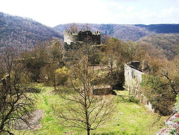 Garden Apartments Znojmo Zewnętrze zdjęcie